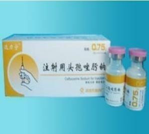 头孢唑肟钠（图1)