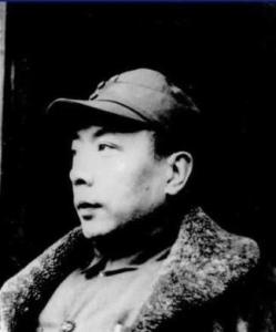 《新思潮》撰写