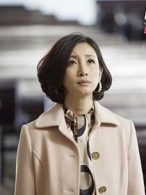 编辑3角色介绍广清范逸臣陈美智秦海璐角色演员编辑2