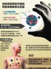 H7N9禽流感