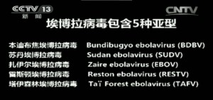 央视纪录片截图