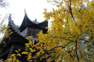 中国阳明文化园君子亭