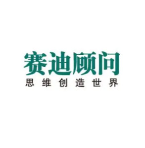 赛迪顾问股份有限公司是做什么的 300
