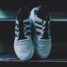 Y3