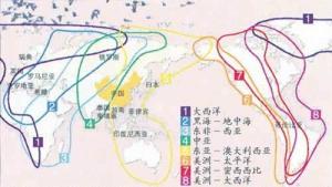 全球候鸟迁徙路线（引自湿地国际，2006）