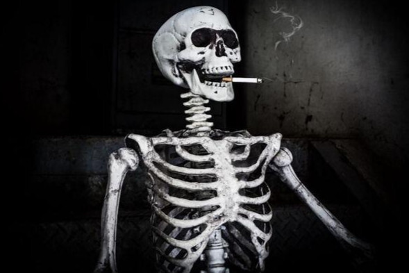 骷髅 无皮肉毛发的全副死人骨骼或头骨 搜狗百科