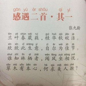 感遇