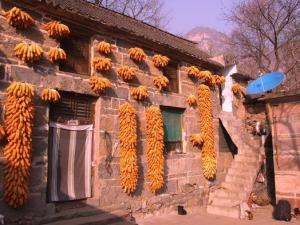 弘德山庄农家院