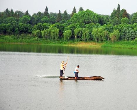 仙桃排湖风景区图片