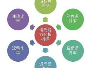 偿债能力分析