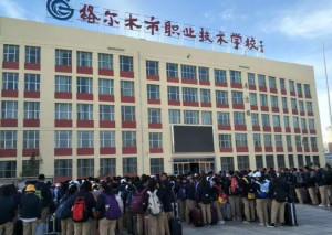 格尔木教育