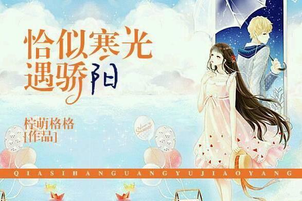 恰似寒光遇骄阳 网络小说 搜狗百科