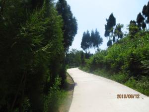 茶亭乡村公路
