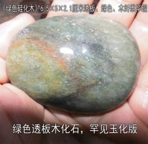 绿色木化石（雨花石类）