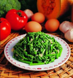 野菜图册