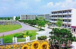 清城区石角镇