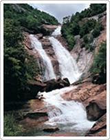 龙湾区