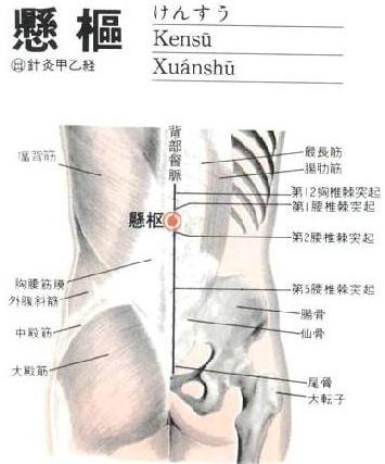 悬枢