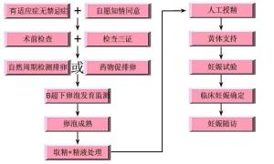 　人工授精的实施过程