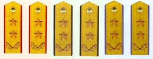 陆、海、空军中将常服肩章(1988～2007)
