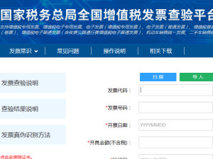 发票查询