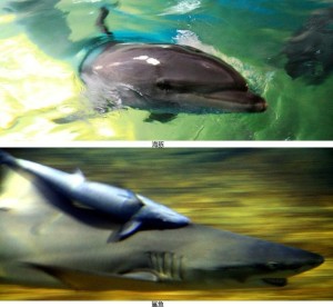 海洋馆
