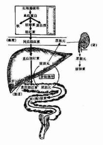 机理