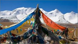 夏康坚峰 夏康坚峰