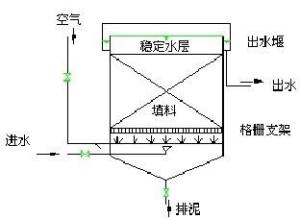 接触氧化池的构造