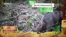 节目播出
