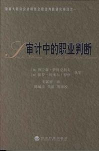 会计职业判断