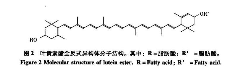 葉黃素酯分子結(jié)構(gòu)圖