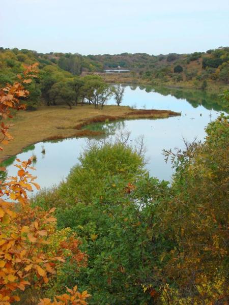 大青沟国家级自然保护区位于内蒙古通辽市科左后旗境内,是一处保存