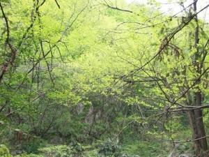 三潭风景区
