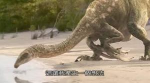 镰刀龙