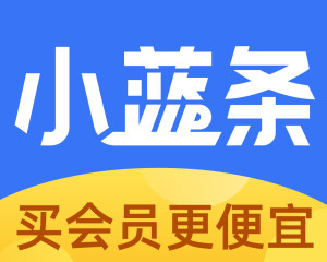 小蓝条是什么 300