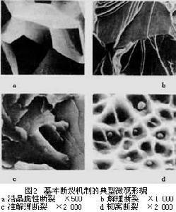 断口分析(三)