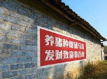 山村里丧心病狂的小广告