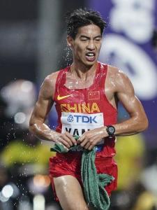 杨绍辉