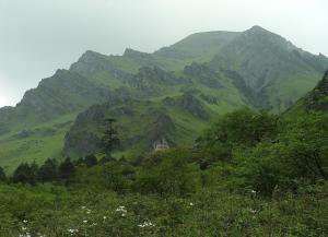 鸡冠山森林公园