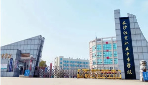中等职业学校