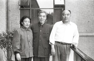 苏金伞