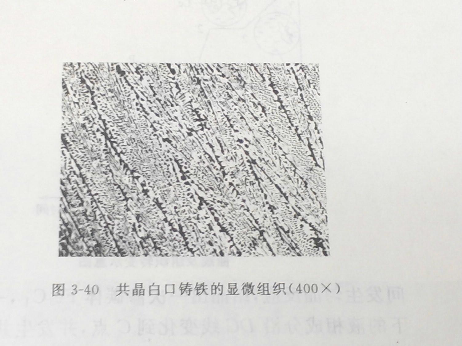 亚共晶白口铸铁组织图片