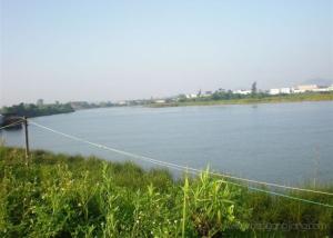 漠阳江沿岸风光