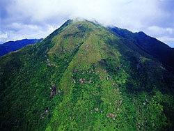 大东山