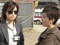 《大搜查》图片
