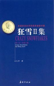 《狂雪》封面