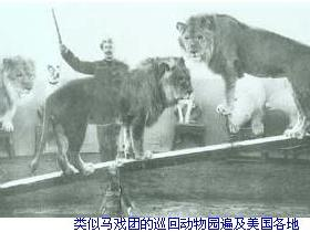 美国的动物园