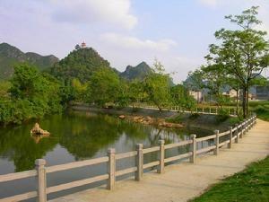 天等县