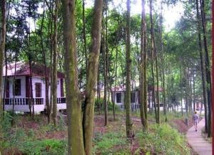 花岩溪景区